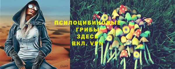 гашиш Абаза