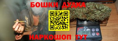a pvp Дмитров