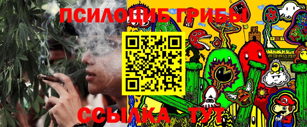 Мегион  закладки  Вход с VPN  Псилоцибиновые грибы мицелий 