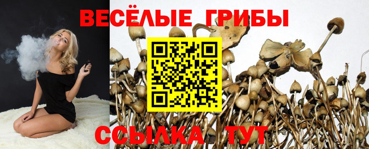 Псилоцибиновые грибы мицелий Мегион